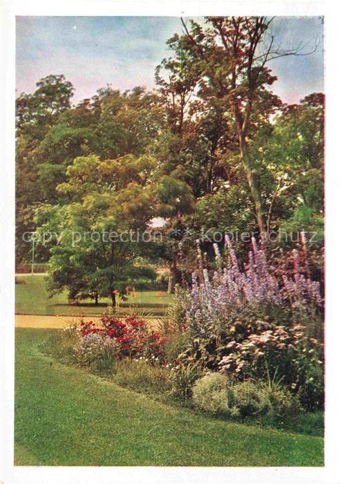 BUGA Bundesgartenschau Kassel Staudengruppe