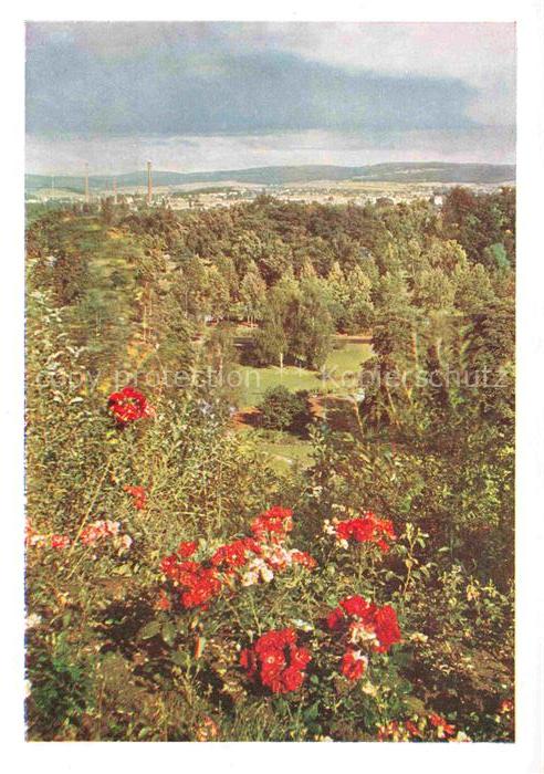 BUGA Bundesgartenschau Kassel Rosen