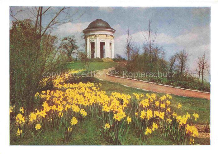 BUGA Bundesgartenschau Kassel Tempel Rosenhang