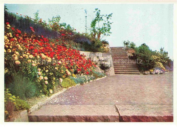 BUGA Bundesgartenschau Kassel Rosenhang Ausstellungsturm