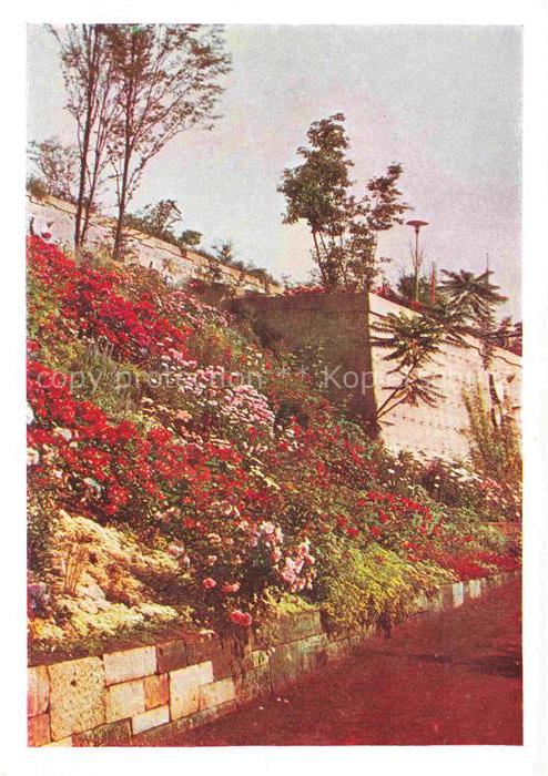 BUGA Bundesgartenschau Kassel