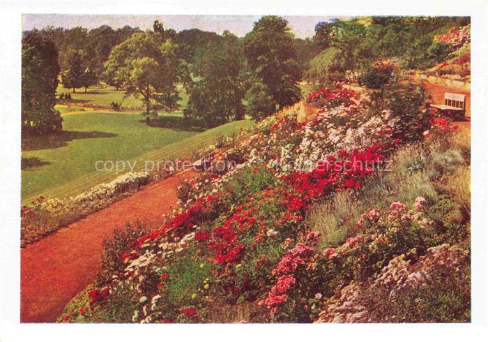 BUGA Bundesgartenschau Kassel Rosenzeit Hang Terrassen