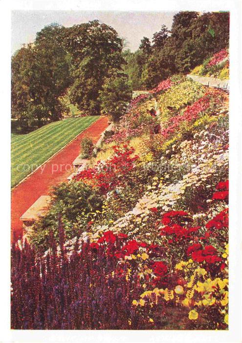 BUGA Bundesgartenschau Kassel Hang Terrassen Rosenzeit