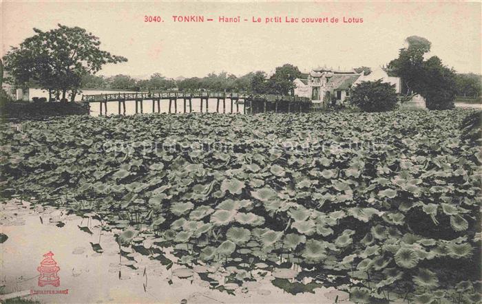Tonkin Region Hanoi Vietnam Le petit Lac couvert de Lotus