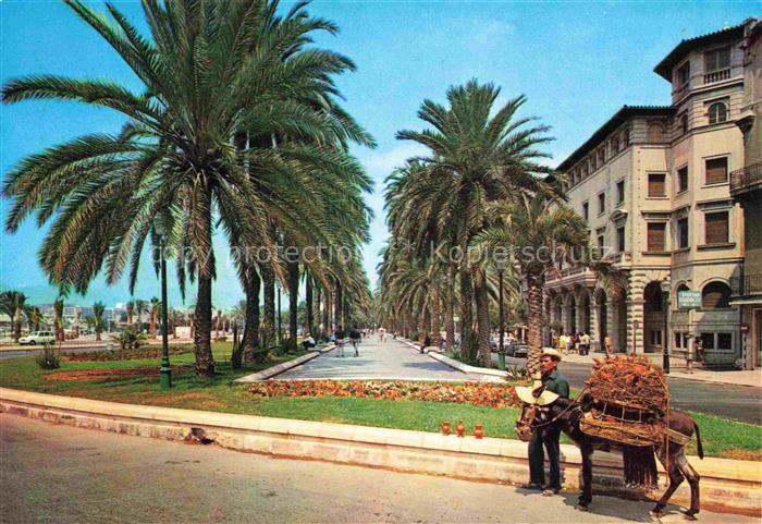 Palma de Mallorca ES Passo de Sagrera