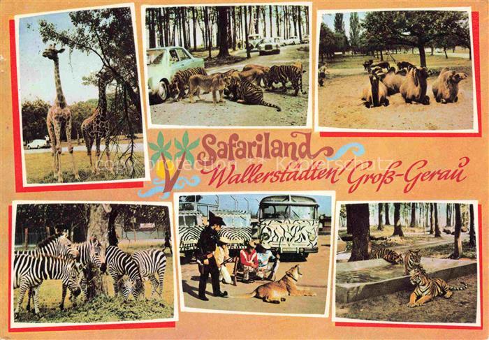 Wallerstaedten Safariland Teilansichten