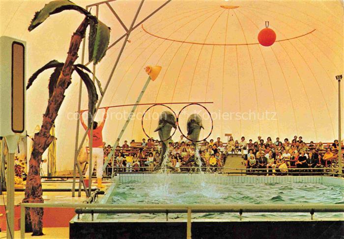 Wallerstaedten Tier und Freizeitpark Delphinarium