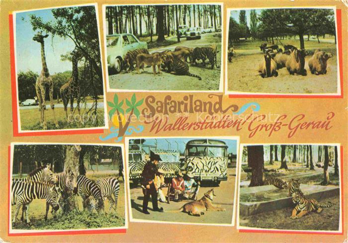 Wallerstaedten Safariland Teilansichten