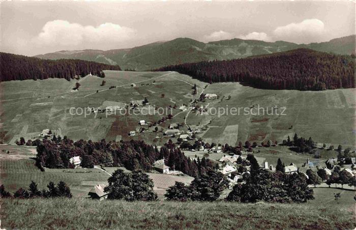 Todtnauberg Schwarzwald BW Blick auf Bergerhoehe