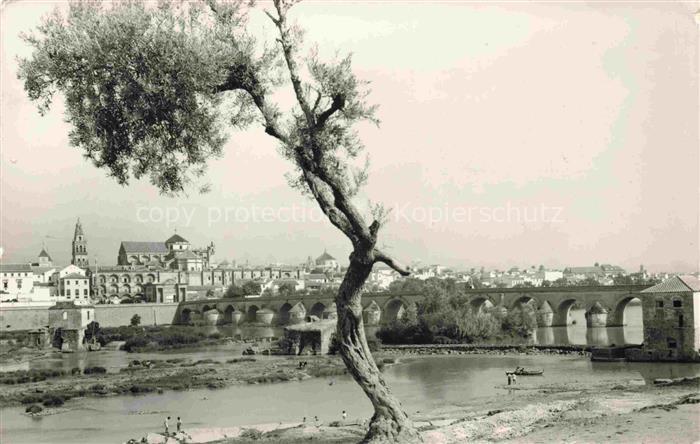 Cordoba Andalucia ES Panorama Viadukt