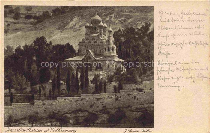 Jerusalem  Yerushalayim Israel Garden of Gethsemany