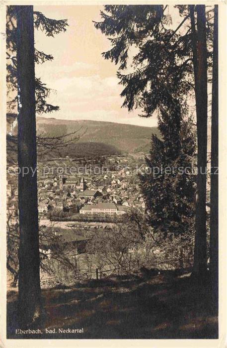 Eberbach Baden Neckar HEIDELBERG BW Panorama