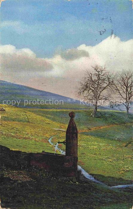 Alpersbach Hinterzarten BW Panorama mit Brunnen