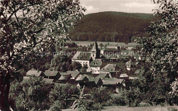 Bad Koenig Odenwald Hessen Panorama