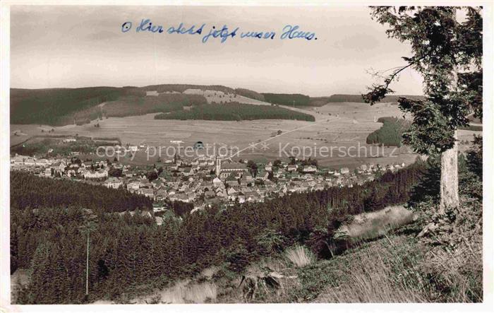 Neustadt Schwarzwald Panorama