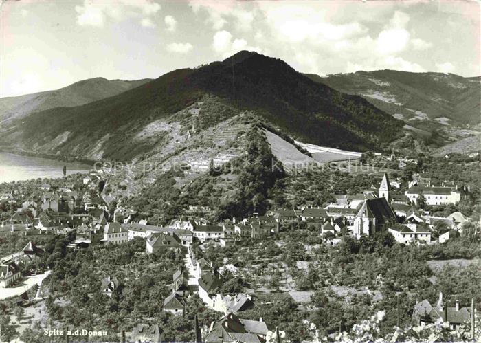Spitz Donau Wachau Niederoesterreich AT Fliegeraufnahme