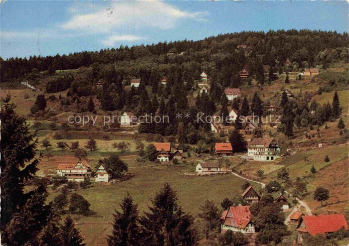 Brandmatt Sasbachwalden Ortenaukreis BW Panorama