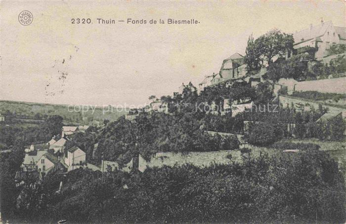 Thuin Wallonie Belgie Fonds de la Biesmelle