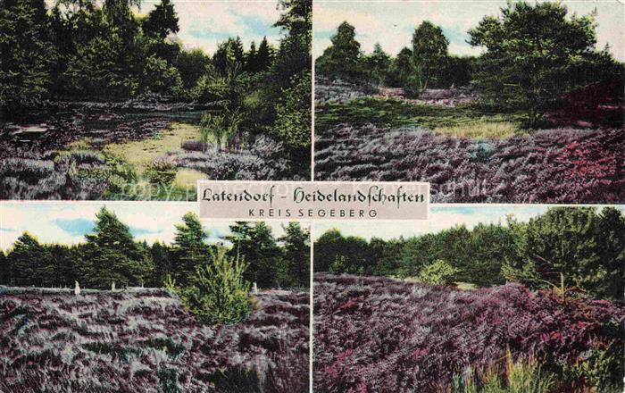 Latendorf Segeberg Schleswig-Holstein Heidelandschaften