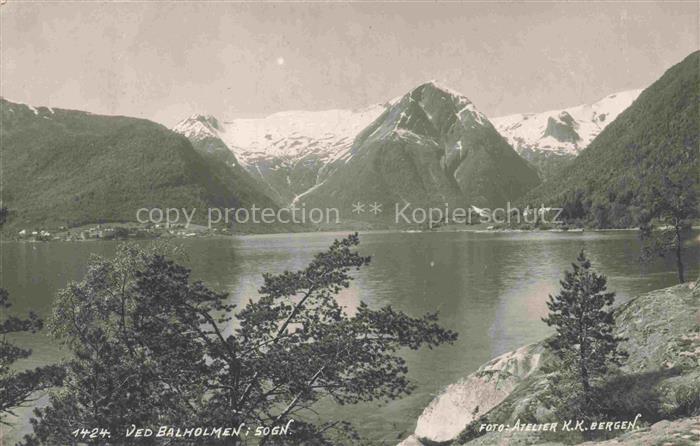 Ved-Balholmen Norge Panorama