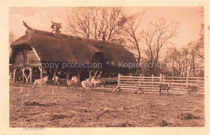 Eneret Norge Dyrehaven