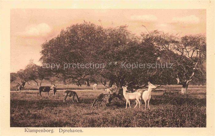 Klampenborg Gentofte Kopenhagen COPENHAGEN DK Dyrehaven