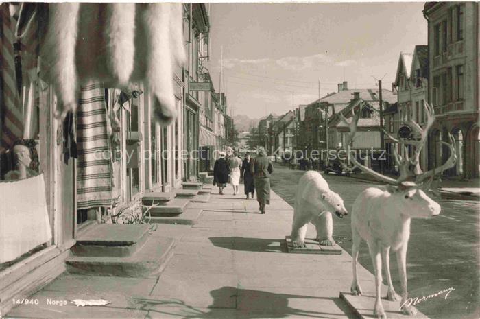 Norge Norwegen Norway Strassenpartie mit Elch und Eisbaer Skulpturen