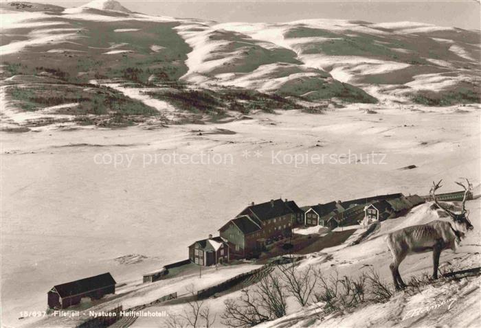 Filefjelt Norwegen Norge Nystuen Hoifjellshotell