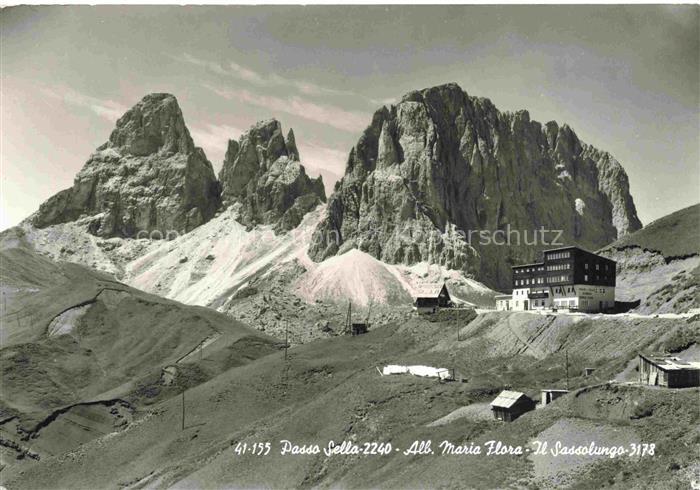 Passo Sella 2240m Selva Val Gardena IT Alb Maria Flora Il Sassolungo