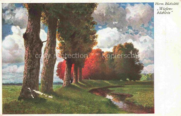 Ruedisuehli Hermann Kuenstlerkarte Wiesen baechlein  MBL Nr. 2325