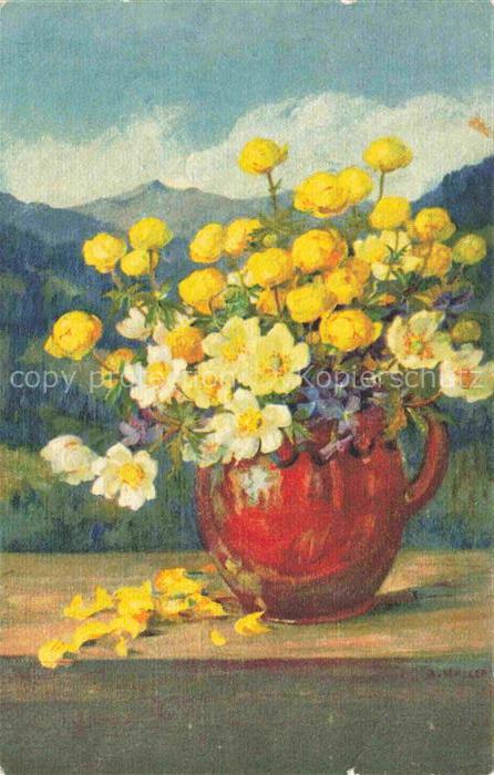 HALLER Anna Kuenstlerkarte Blumen Topf