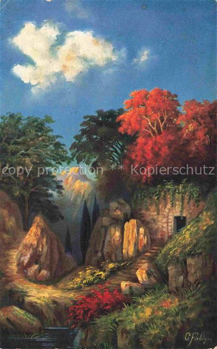 FIEBIGER C. Kuenstlerkarte Amag Nr. 401 Berghaus Natur