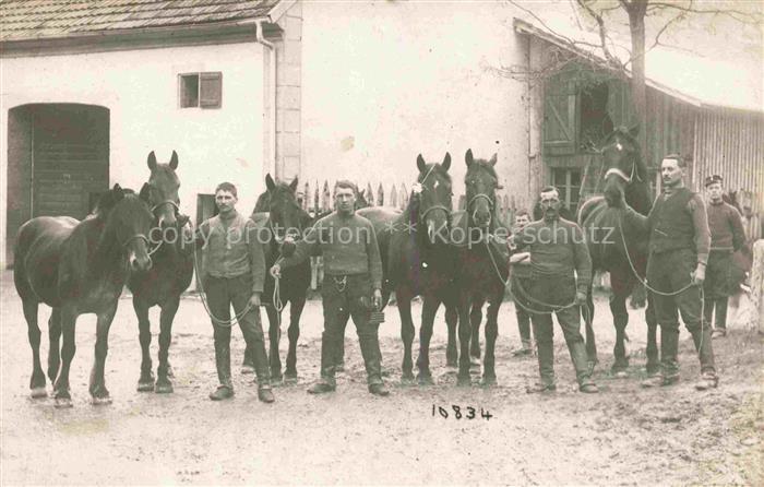 PFERDE Horses Cheval