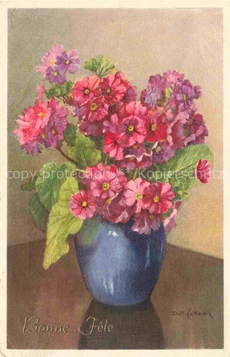 COTTAAR Piet Kuenstlerkarte Blumen Vase