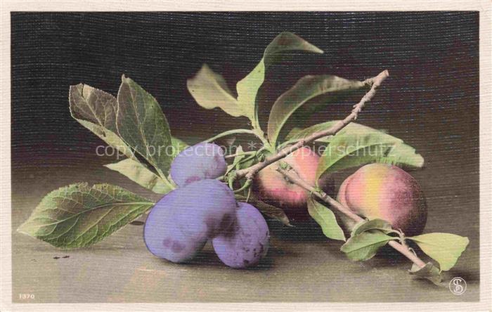 Foto SIP Nr. 1370 Obst Pflaumen Pfirsich