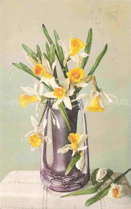 Narzissen Daffodils Narcisses Narcisi Narcisos-- Vase