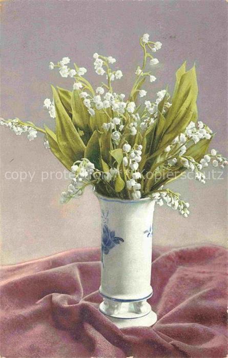 Verlag Photochemie Nr. 644 Maigloeckchen