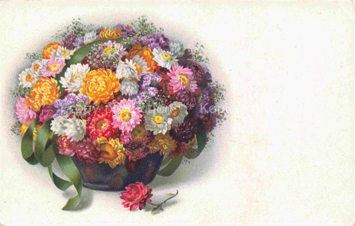 MEIssNER und BUCH Litho Verlag Blumen