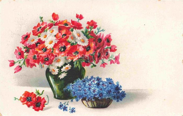 Mohnblumen Poppies Coquelicots Papaveri Amapolas-- Wenau Delina