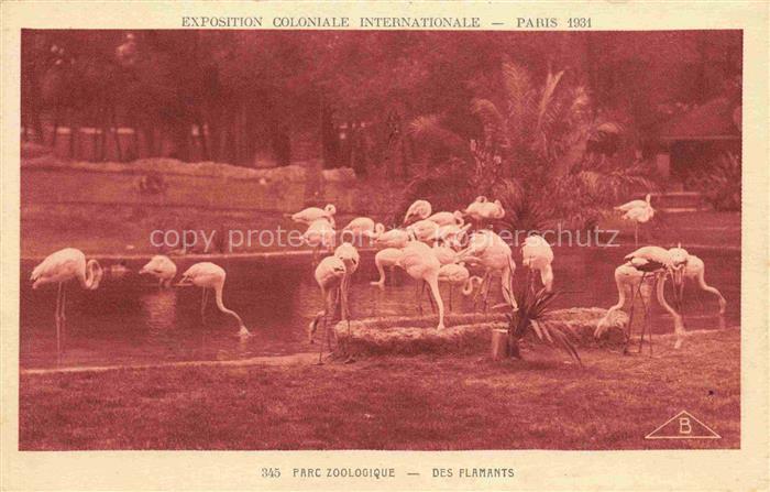 Exposition Coloniale Paris 1931 Nr. 345 Parc Zoologique Des Flamants Flamingos