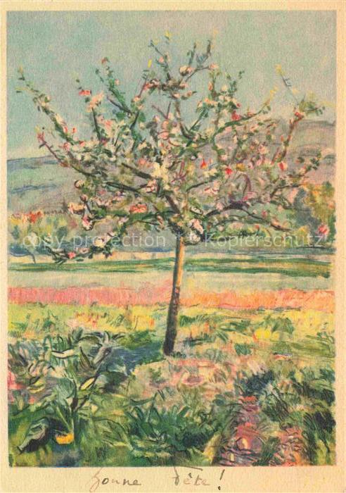 ROTH Helene Wangen Aare Kuenstlerkarte Bluetenbaum