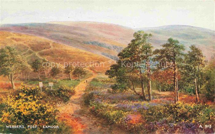 Exmoor UK Landschaftspanorama Kuenstlerkarte Valentine's Postcard