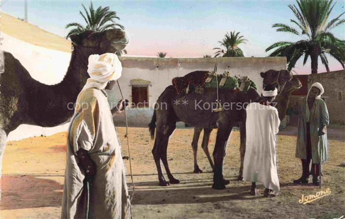 Bou-Saada Algerie Cité du Bonheur Chameliers dans l'Oasis