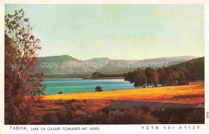 Tabha Lake of Galilee See Genezareth Israel Lake of Galilee towards Mount Arbel
