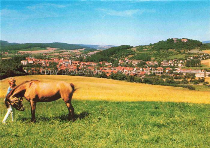 Reichelsheim Odenwald Panorama Erholungsort Schloss Reichenberg Pferdekoppel