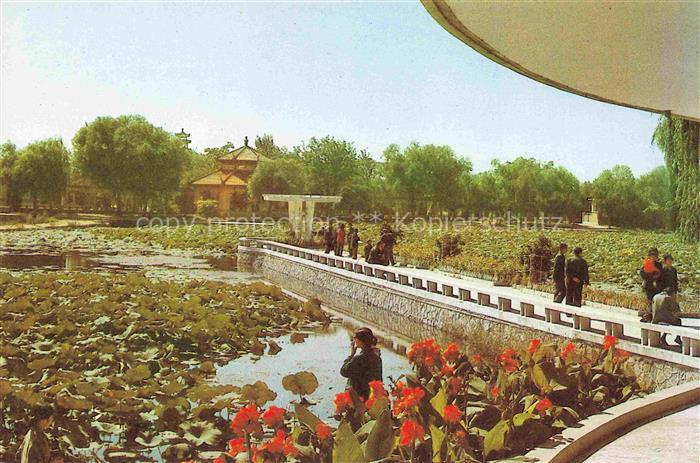 SHANGHAI China Lotus pond in midsummer