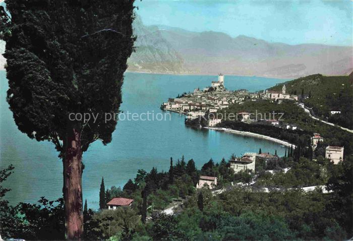 Malcesine Lago di Garda Panorama Gardasee