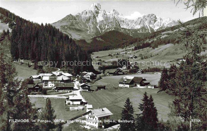Filzmoos Pinzgau-Pongau AT mit Bischofsmuetze