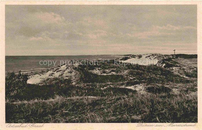 Graal-Mueritz Ostseebad Duenen am Meeresstrand