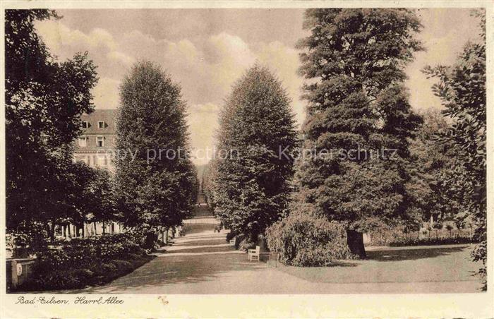 Bad Eilsen Schaumburg Niedersachsen Haarl Allee